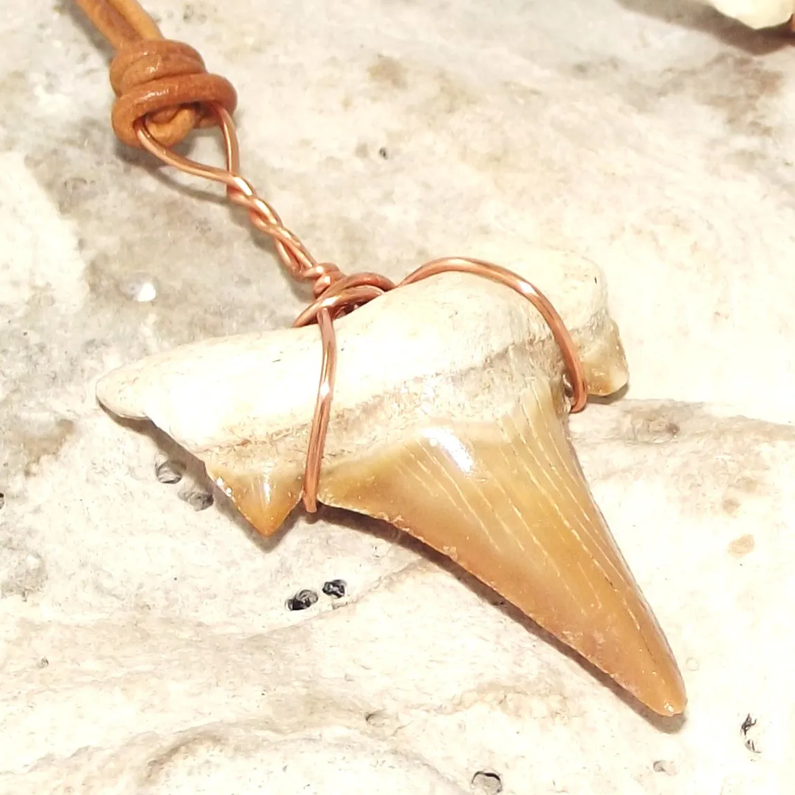 C. Auriculatus Fossil Shark Tooth (33-55 Million Years Old) Necklace