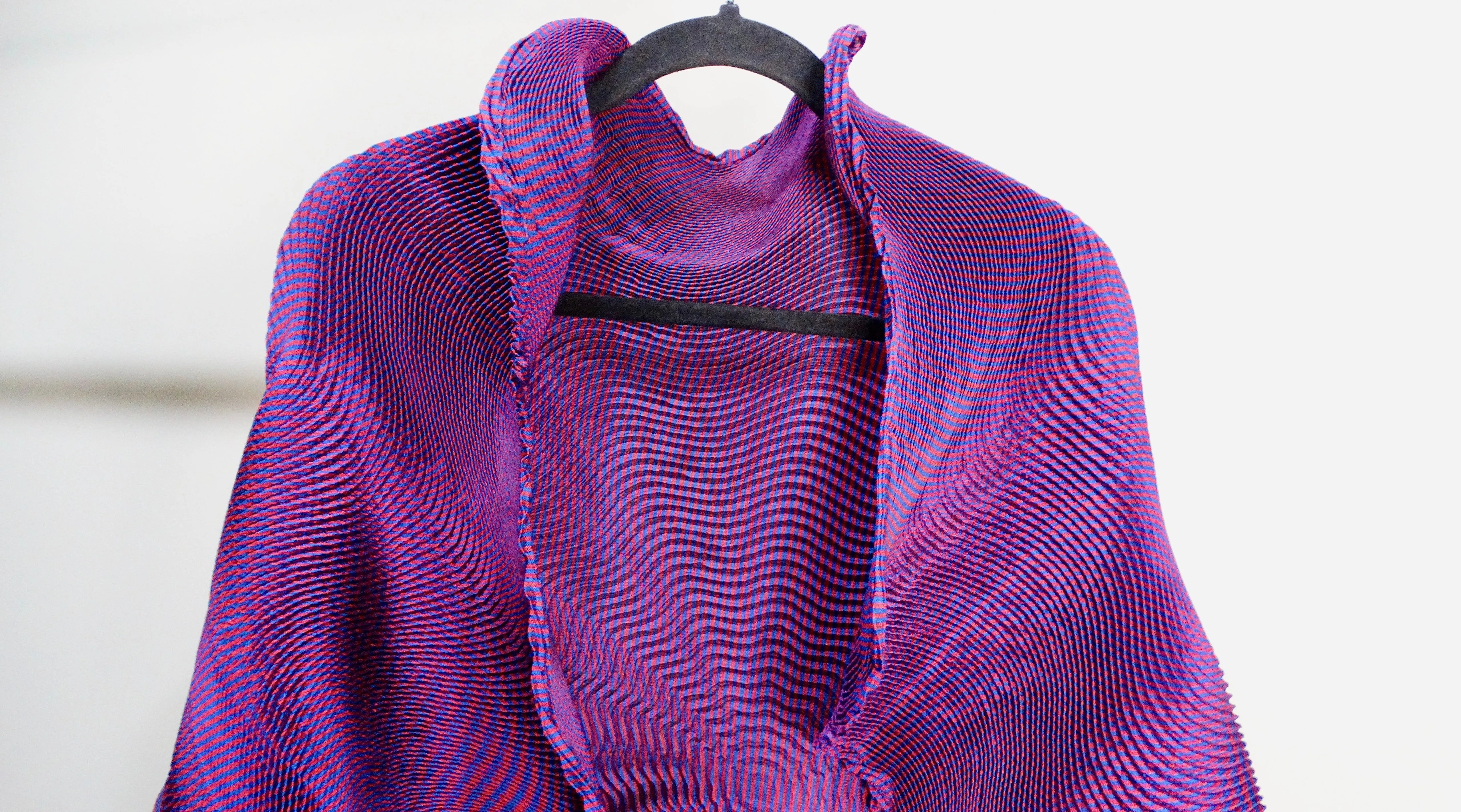 Issey Miyake x Alessandra Cianchetta Insect Pleated Cape