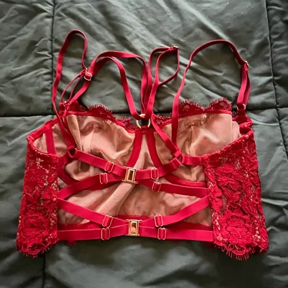 Monique Morin FRISSON BUSTIER in BLOODSTONE size 32 D / 34 C from Anthropologie