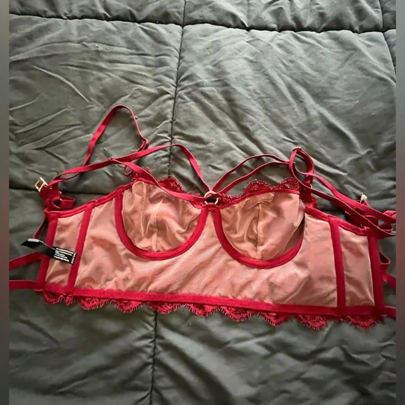 Monique Morin FRISSON BUSTIER in BLOODSTONE size 32 D / 34 C from Anthropologie
