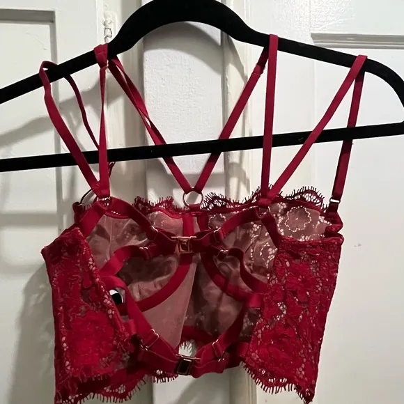 Monique Morin FRISSON BUSTIER in BLOODSTONE size 32 D / 34 C from Anthropologie