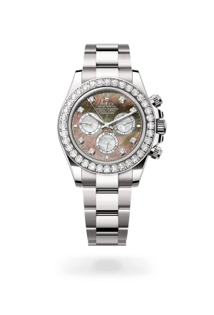 Rolex Cosmograph Daytona in 18 kt white gold, M126579RBR-0001 | Walters & Hogsett
