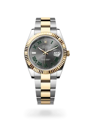 Rolex Datejust 41 in Yellow Rolesor - combination of Oystersteel and yellow gold, M126333-0019 | Walters & Hogsett