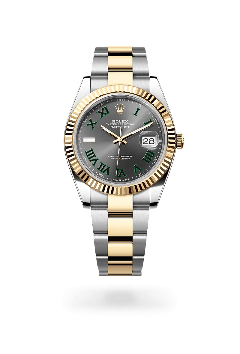 Rolex Datejust 41 in Yellow Rolesor - combination of Oystersteel and yellow gold, M126333-0019 | Walters & Hogsett