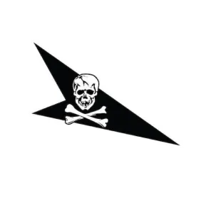 VF-84 Helmet Markings - Right