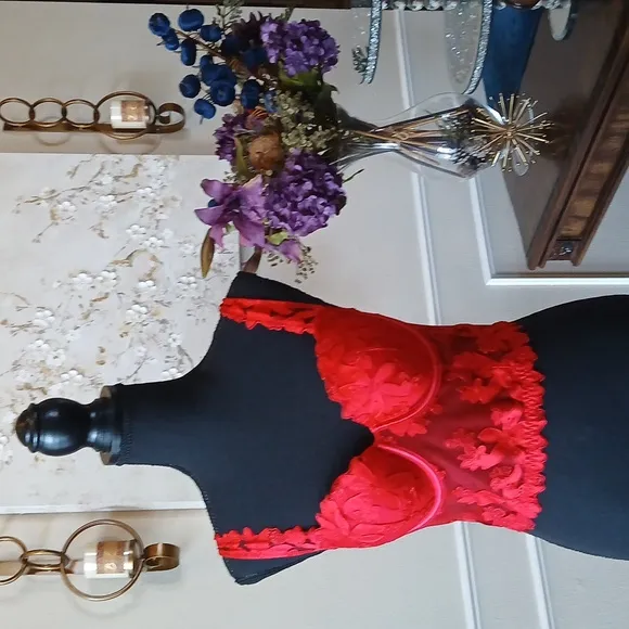 Victoria's Secret Very Sexy Red Lipstick Floral Luxury Corset Bustier. S…